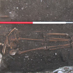 Figure 30. 3859*, a juvenile with three rings buried in T321.