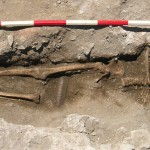 Figure 56. Grave (T303) containing skeleton 3737* of adult male with face covered by a tile.