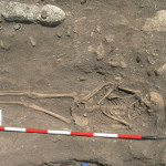 Figure 60. Grave (T176) cut into earlier walled tomb T187 It contains the skeleton 2828* of an adult male.