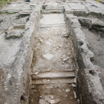 Figure 46. Beaten earth ramp formed on the imperial stair in Room 5.