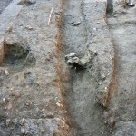 Figure 47. Robber trench 7167 of north-south wall.