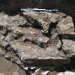 Figura 53. Struttura [5019] nella sezione meridionale dello scavo, forse il pilastro centrale di un portone doppio. 