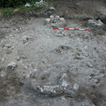 Figure 19. Remains of modern pergola in trench FI.