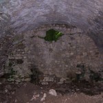 Figure 3. Wall [10030], dividing the cistern into two chambers